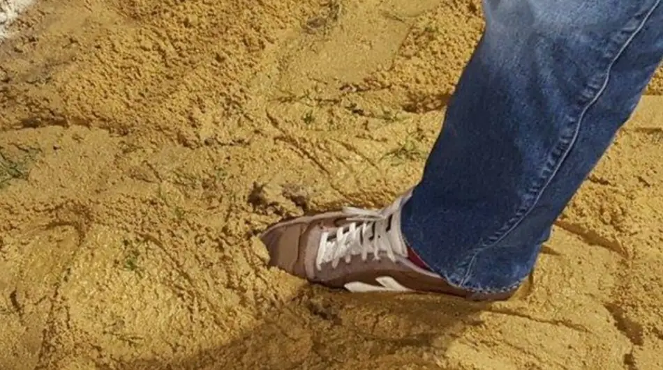 Altrincham fan Matt Taylor demonstrates the poor state of the pitch on January 6th