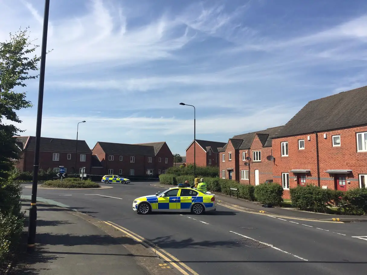 Police cars close to the roundabout where the car crashed