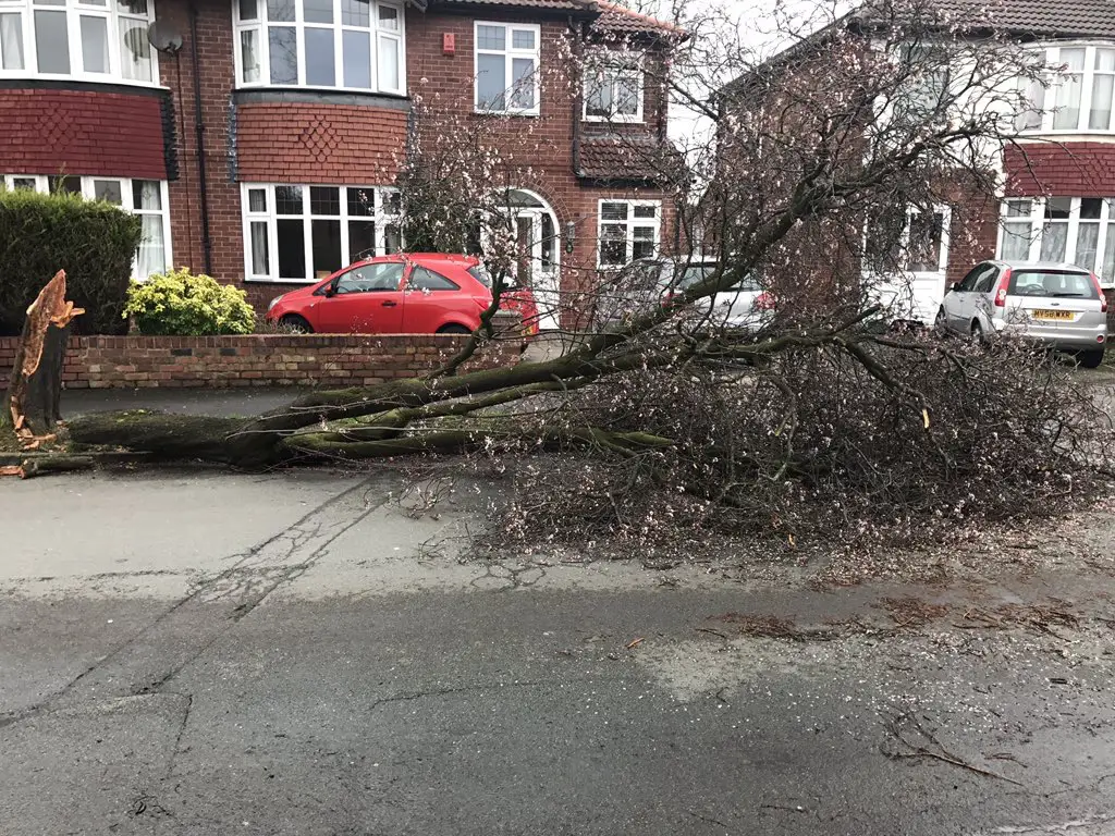 Acresfield Lane in Timperley. Pic: Tim James
