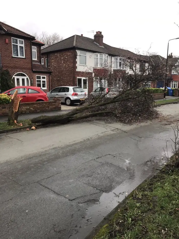 Acresfield Lane in Timperley