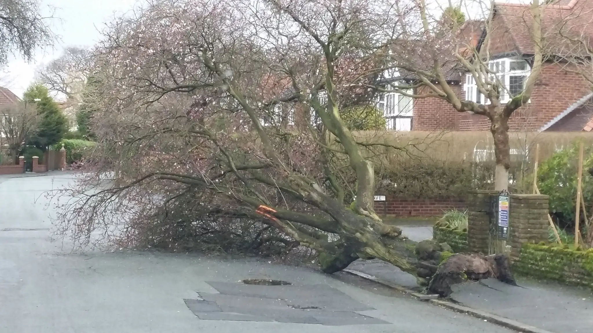 Whalley Road in Hale