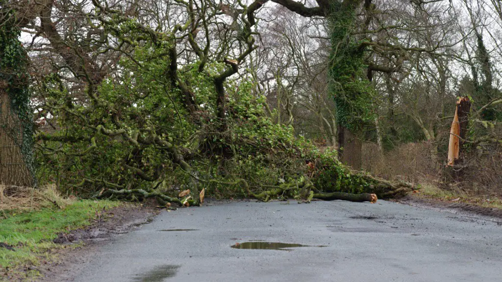 Whitehouse Lane in Dunham Massey. Pic: Amanda J Window