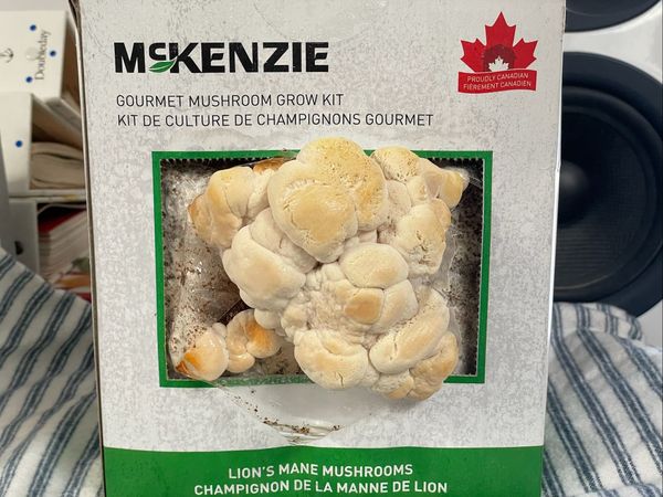 Mushroom Kit Experiment