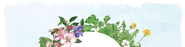 Your Yard is a Universe