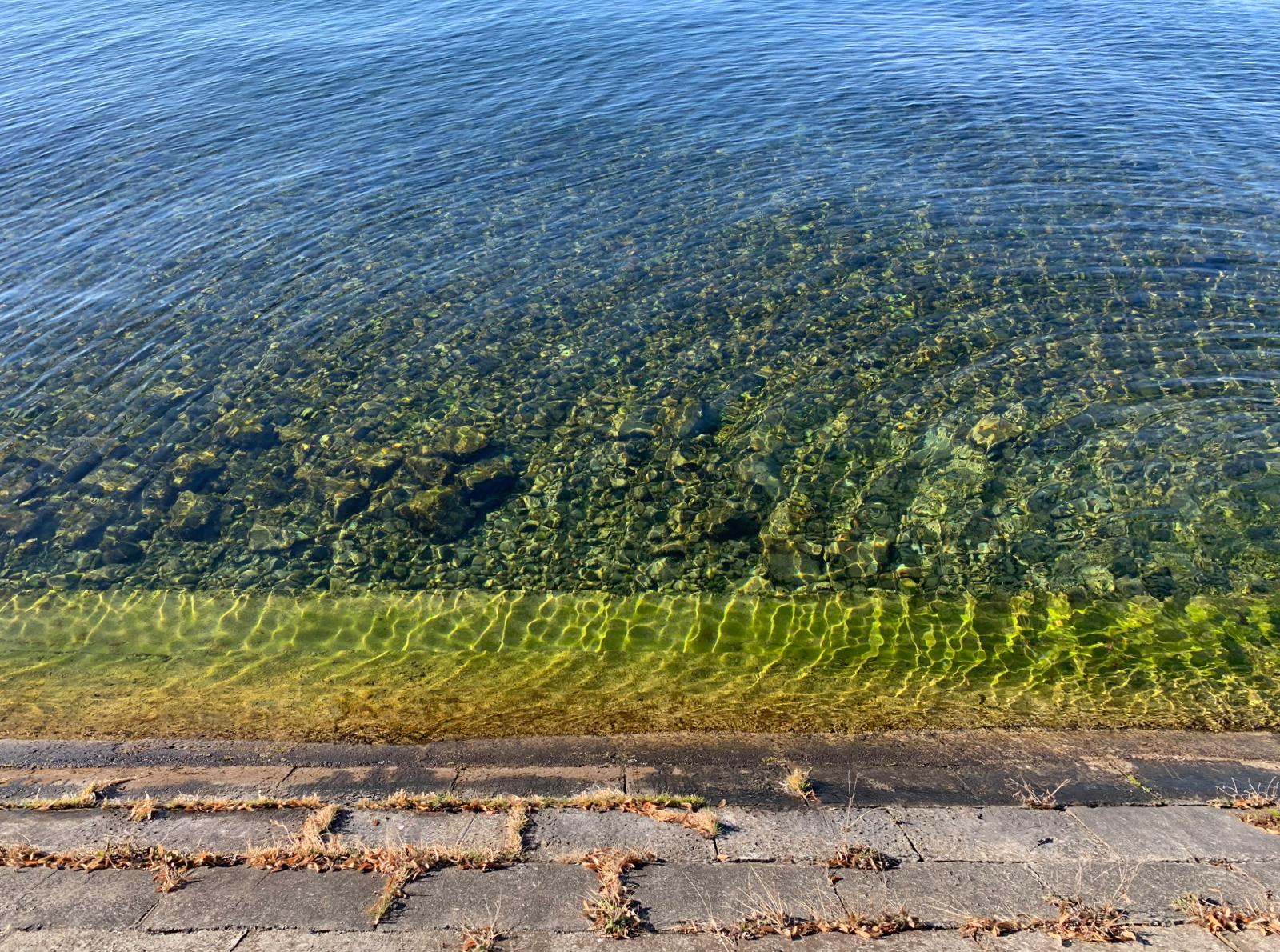 PADDI Environment Consulting