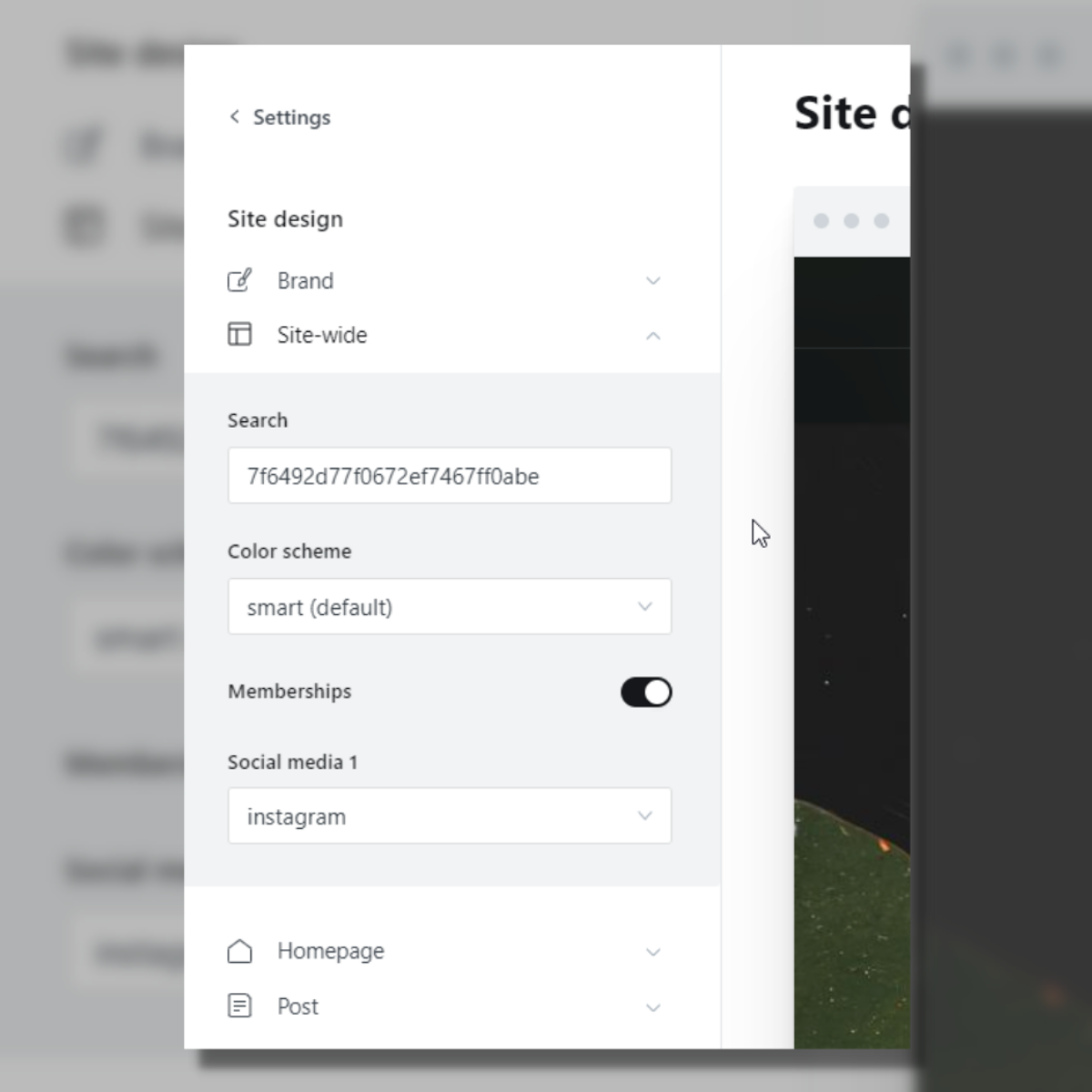 Example of custom settings on the Ghost Admin page