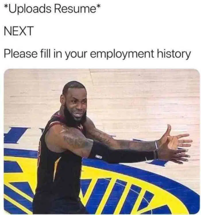 Resume Meme: *Upload Resume* NEXT Please fill in your employment history. Lebron James frustrated.