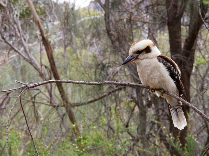 We Aren’t in Kansas Anymore