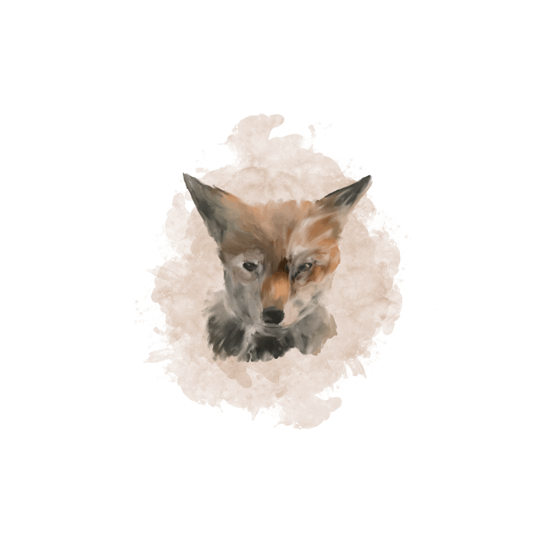 Fox portrait