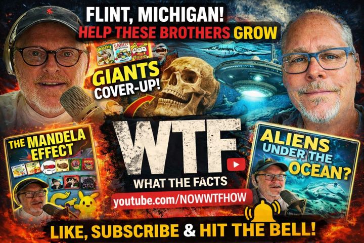 Welcome to WTF: What The Facts.