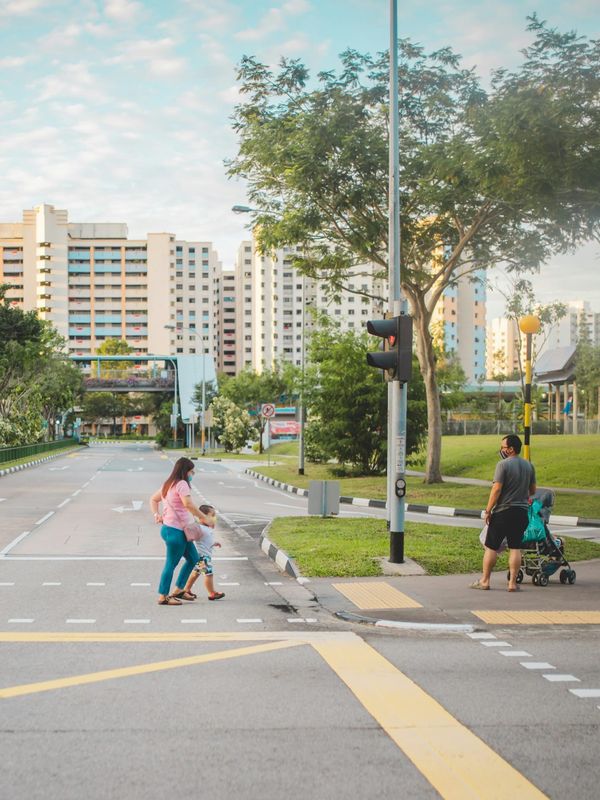 2025 General Election Edition