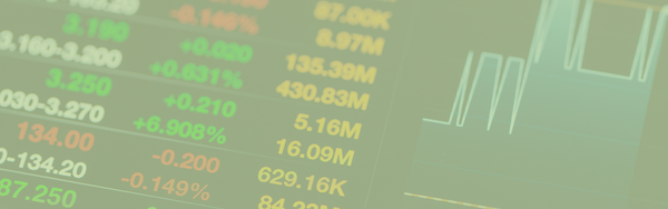 Portfolio & Performance Updates