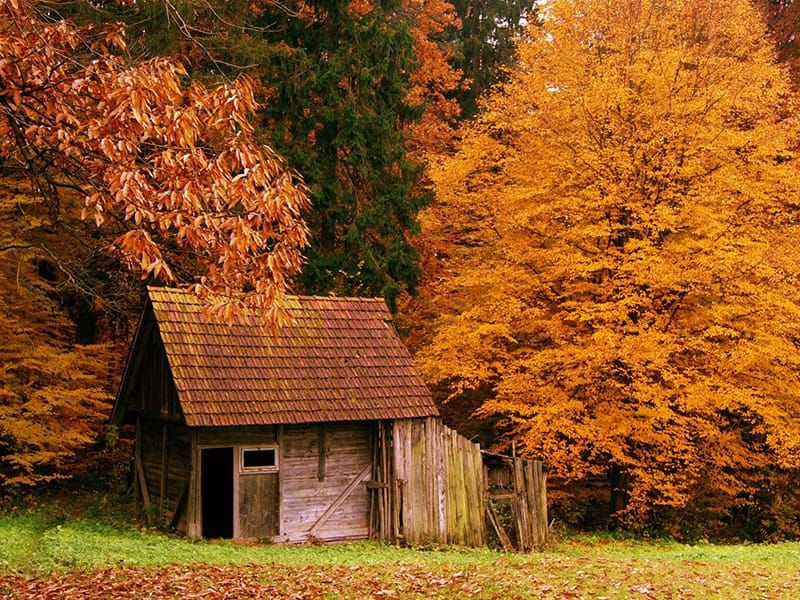 Fooled by Randomness