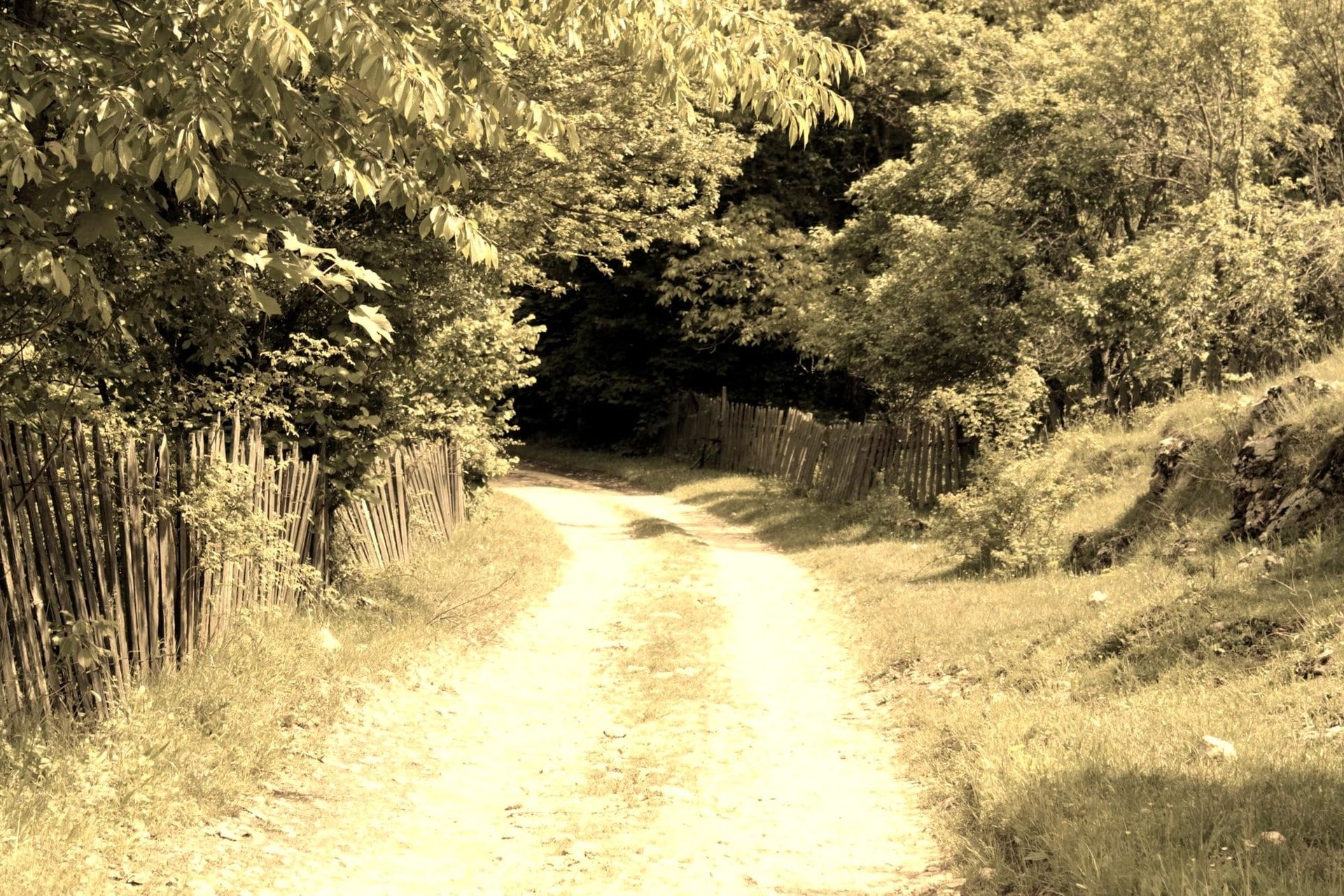Il cammino di Panfilo Tàgora