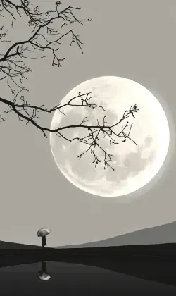 Riflessioni con ombrello al chiaro di luna