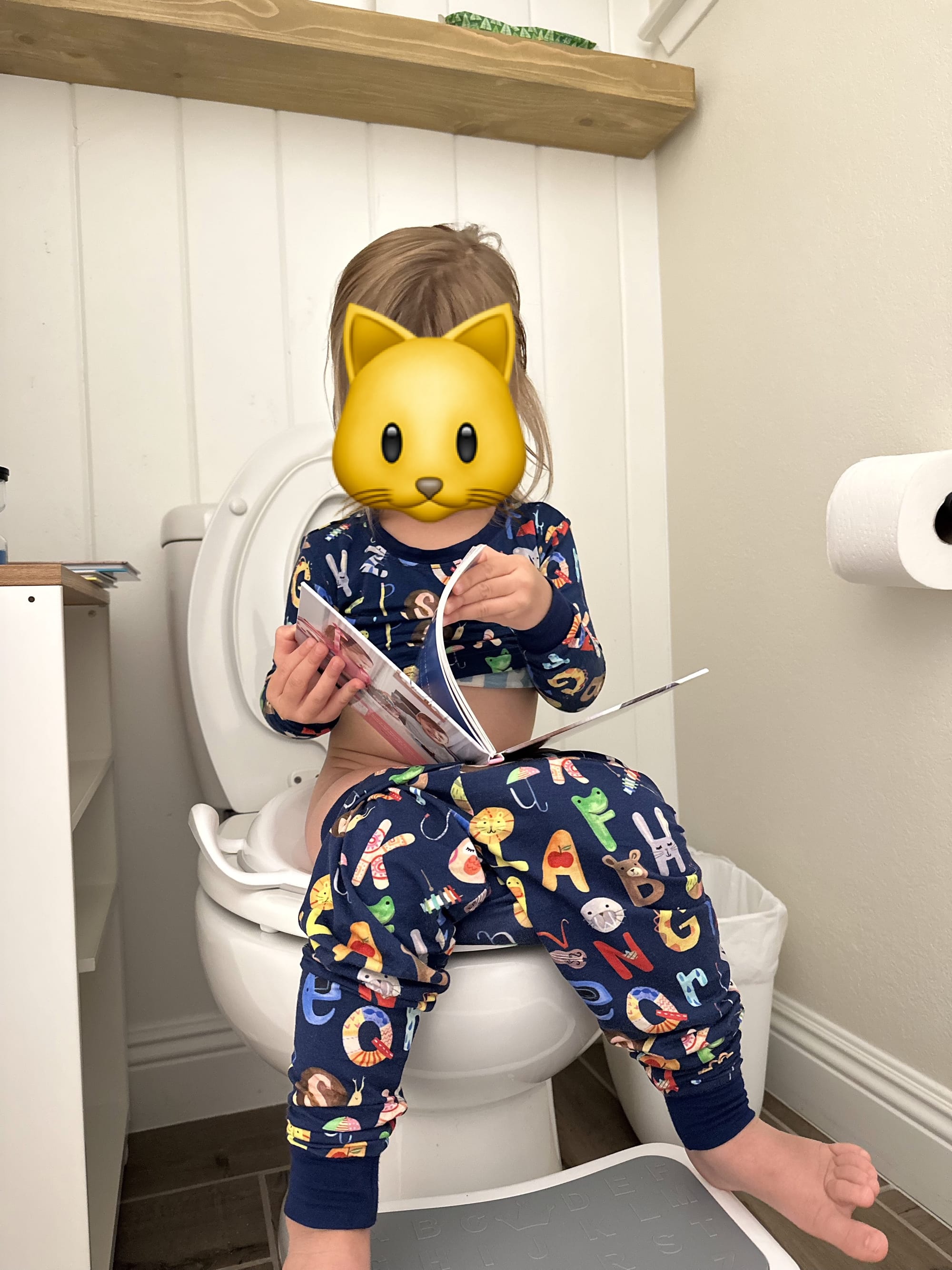 Potty Training - We got lucky. Maybe you will too?