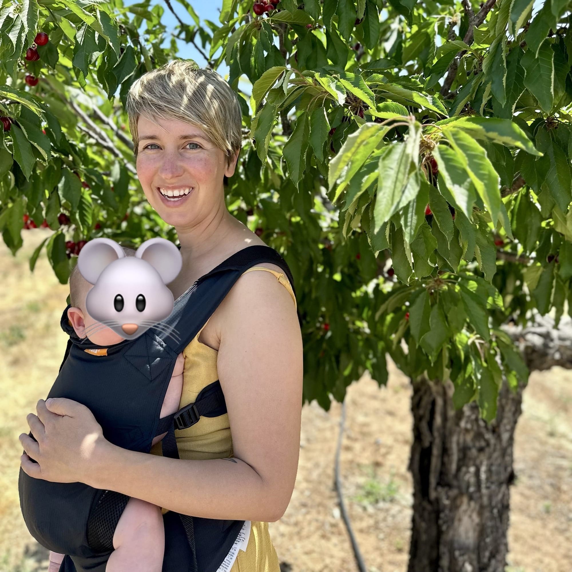 The Baby Carrier I Loved So Much I Gave It Away