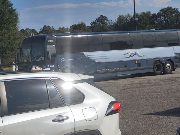 The Wayward Bus