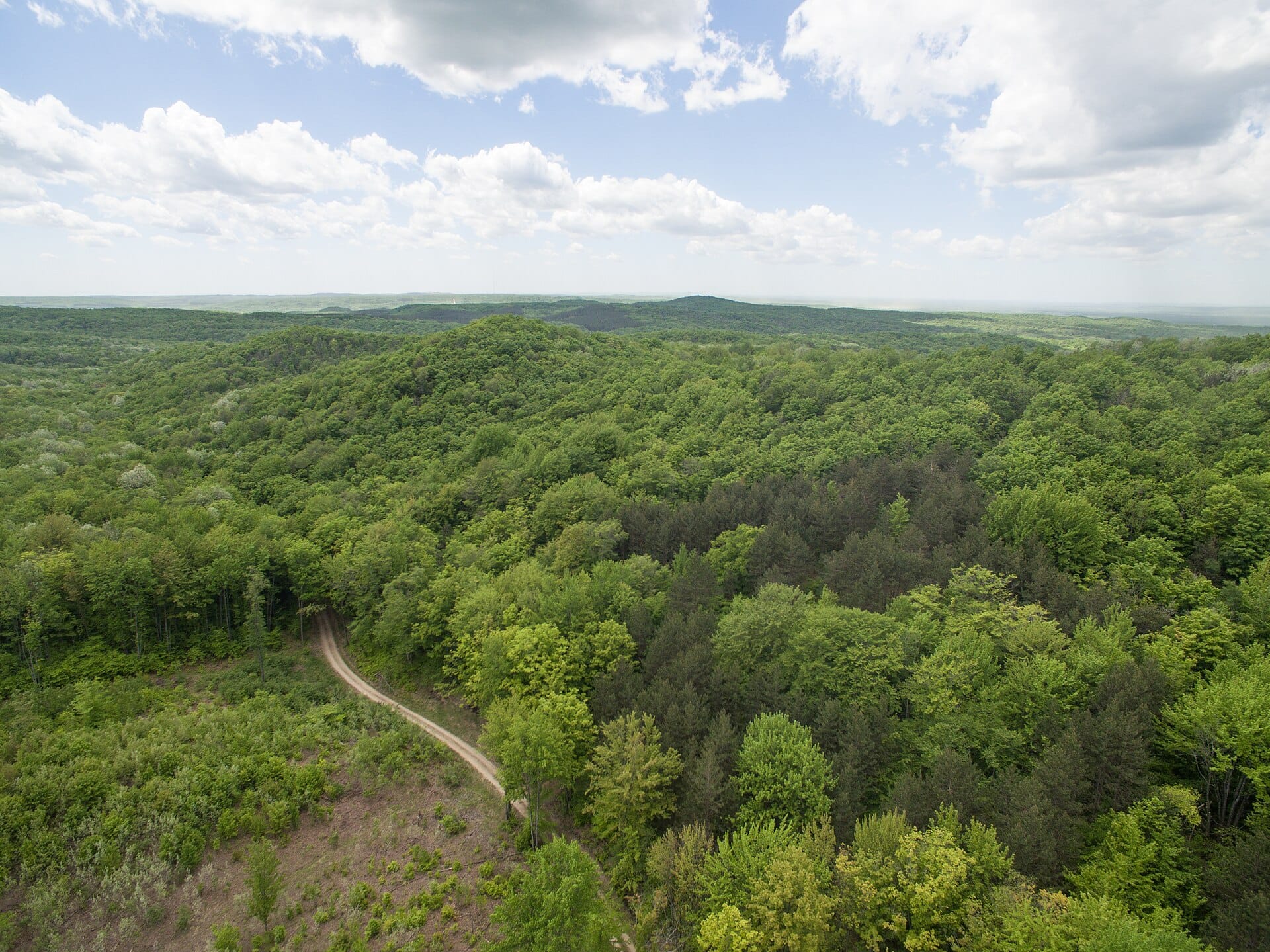 Manistee National Forest, northwestern Lower Peninsula of Michigan — the geographic centre of the Michigan Dogman sighting corridor