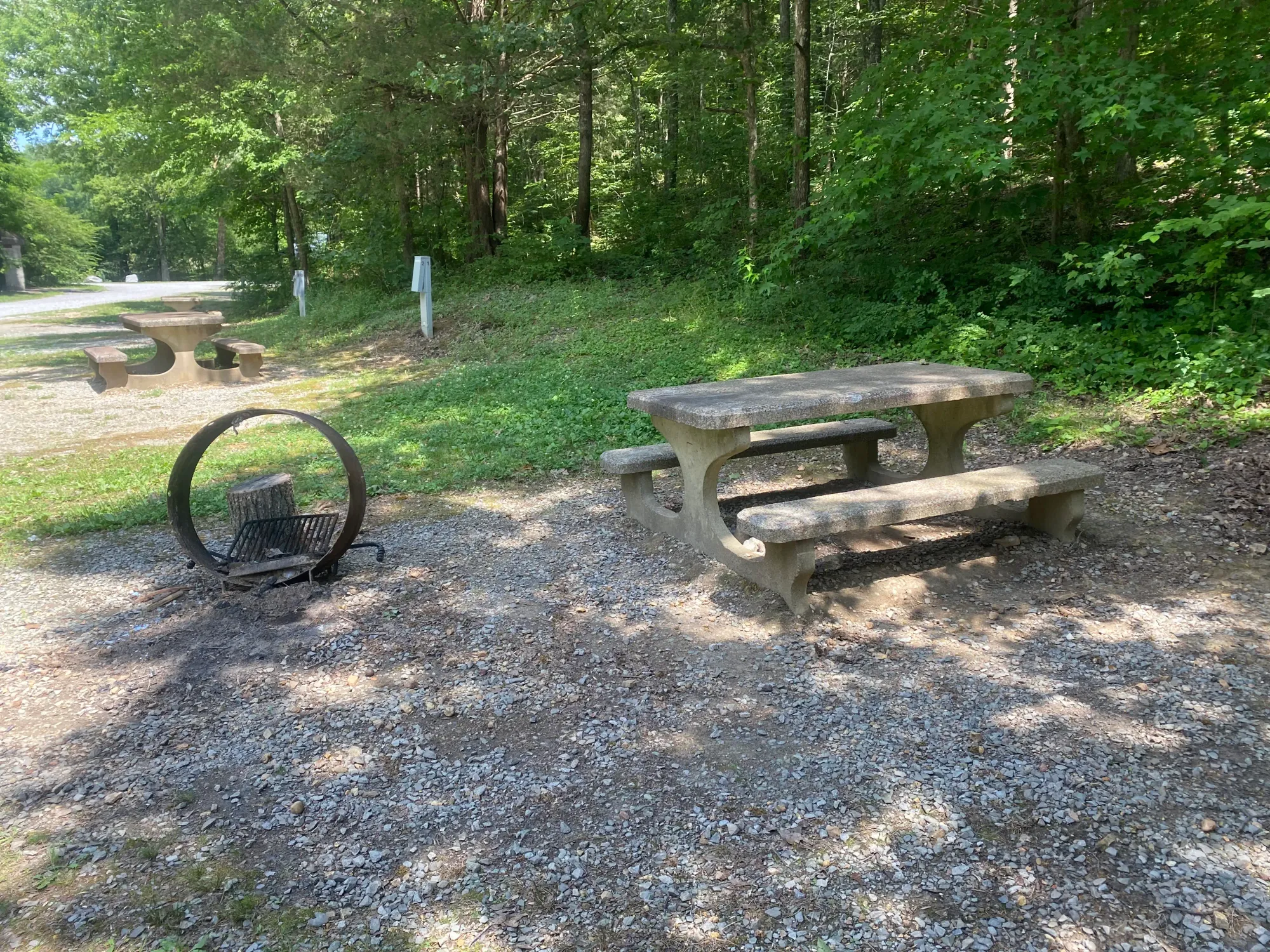 Fenton campground in the Land Between the Lakes National Recreation Area Kentucky showing forested campsites on the shore of Kentucky Lake