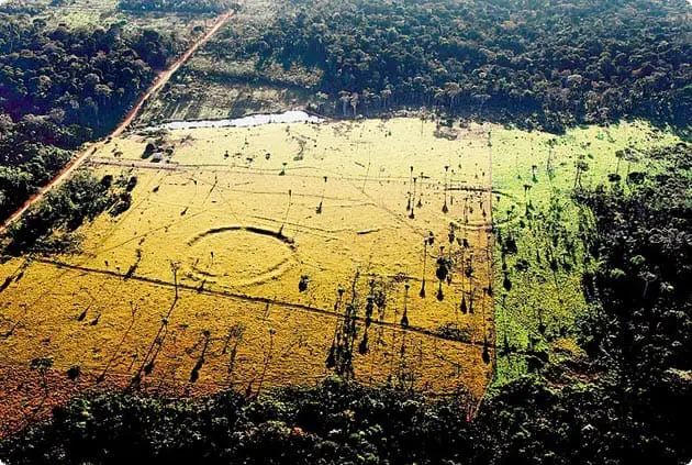 Ancient civilisation uncovered beneath Amazon rainforest through satellite imagery