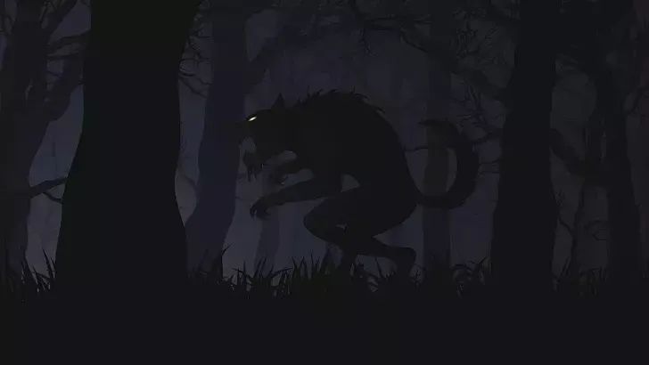 Unidentified Creature Continues to Stir Fear in Brazilian State