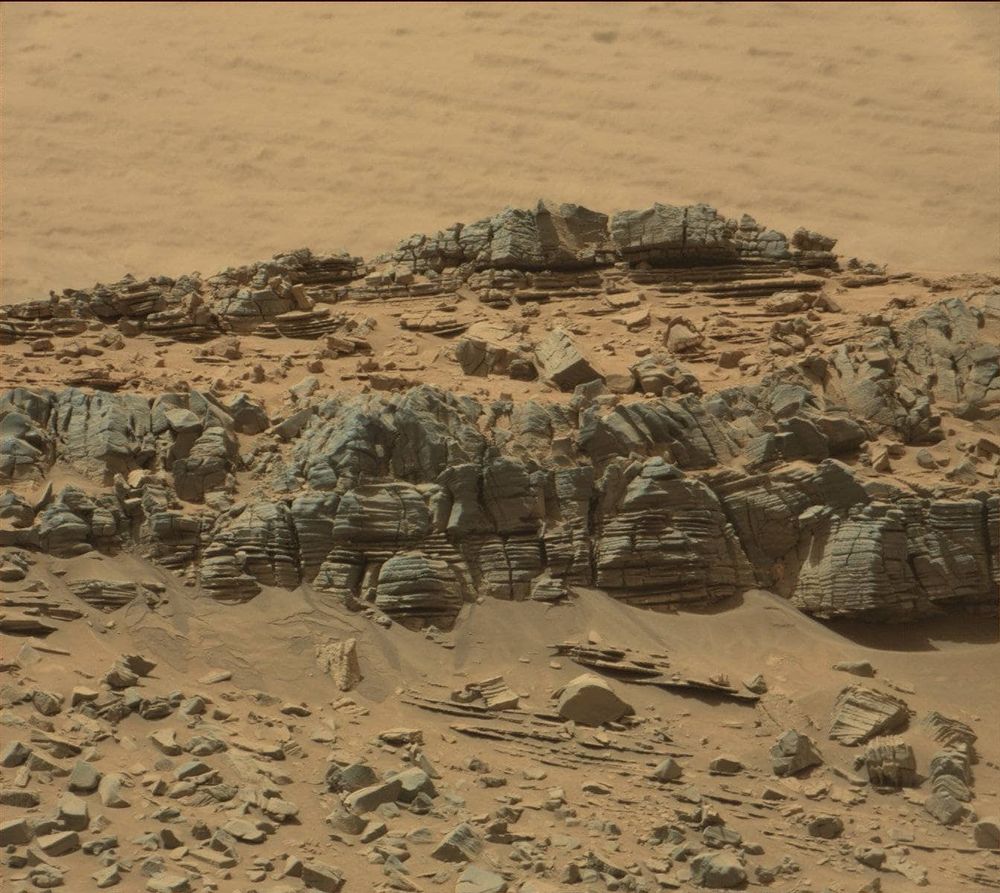 Mysterious "Creature" Spotted in Curiosity Rover Image Sparks Debate Over Life on Mars
