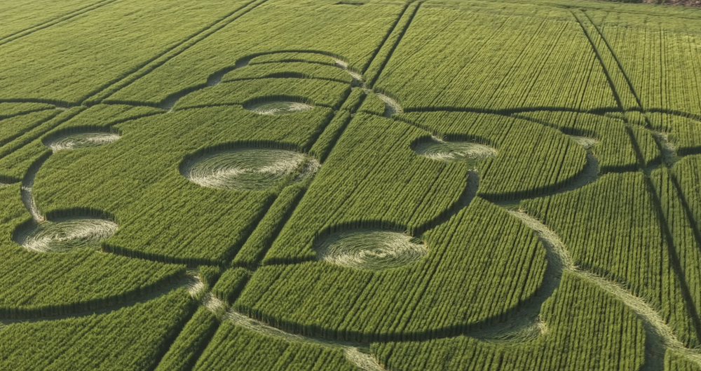 Second Crop Circle of 2026 Discovered in Southern England