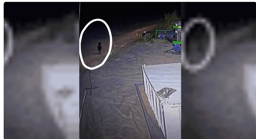 Goblin-like Creature Reported at Argentine Oil Field