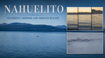 New Nahuelito Photograph Revives Mystery of Patagonia's Legendary Lake Monster