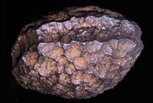 The Wolfsegg Iron: A 20 Million Year Old Enigma or Artificial Artefact?