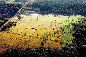 Ancient civilisation uncovered beneath Amazon rainforest through satellite imagery