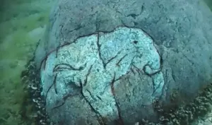 The Mastodon Stone: Did Ice Age Hunters Leave a Message Beneath Lake Michigan?