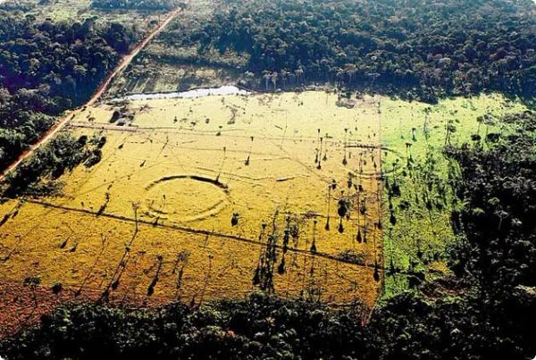 Ancient civilisation uncovered beneath Amazon rainforest through satellite imagery