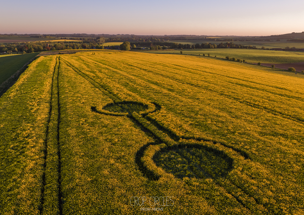 First Crop Circle of 2026 Discovered in Southern England