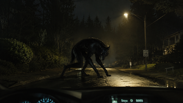 Dogman Sighting Reported Near Newport on Oregon Coast