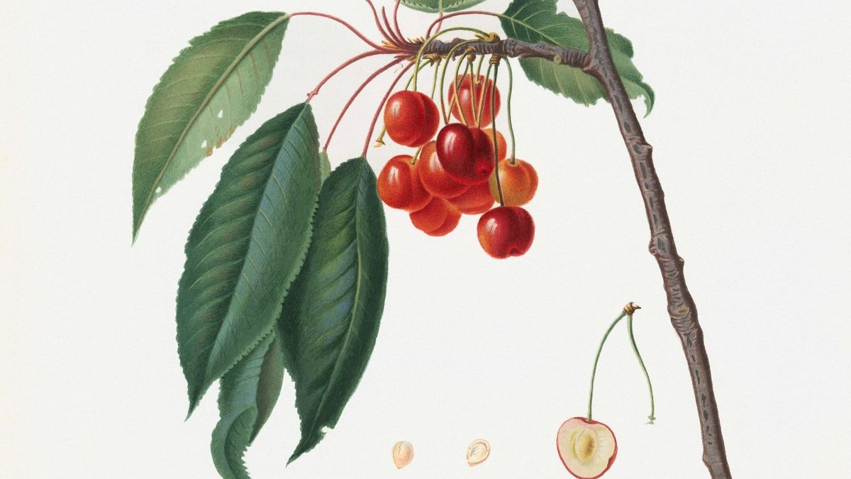 the art of living with coherence: a conversation with mark mccartney