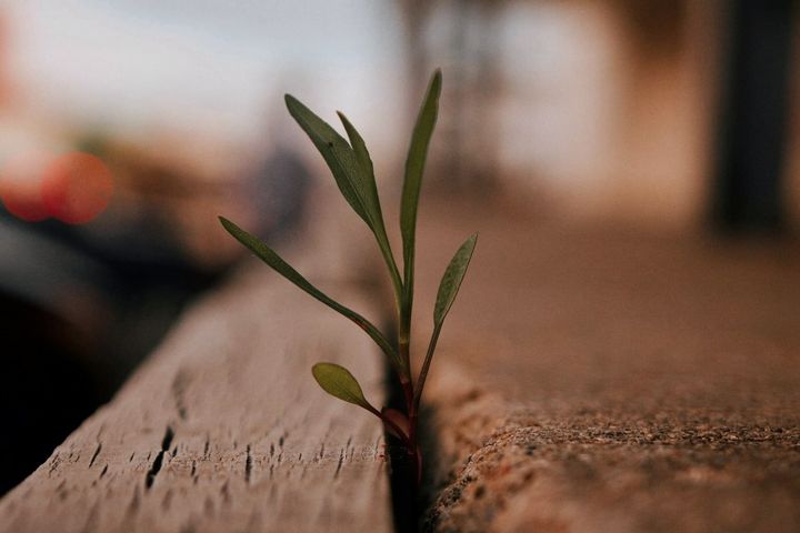 성장의 기회는 지금 디딘 발 밑에 있다
