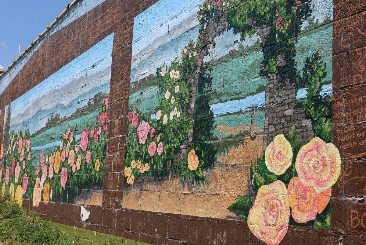 Weekly update, August 2