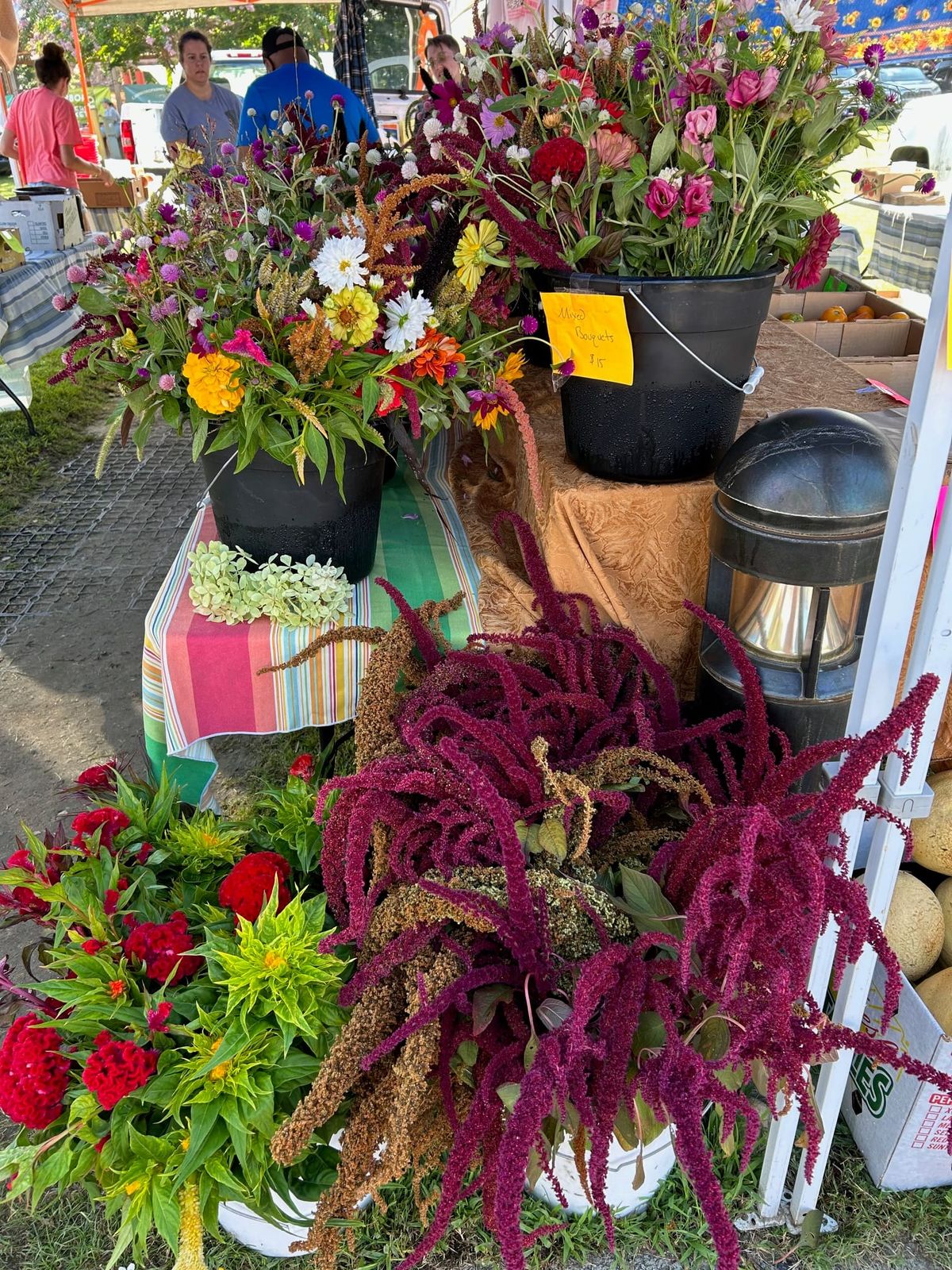 Actualización semanal, 9 de agosto