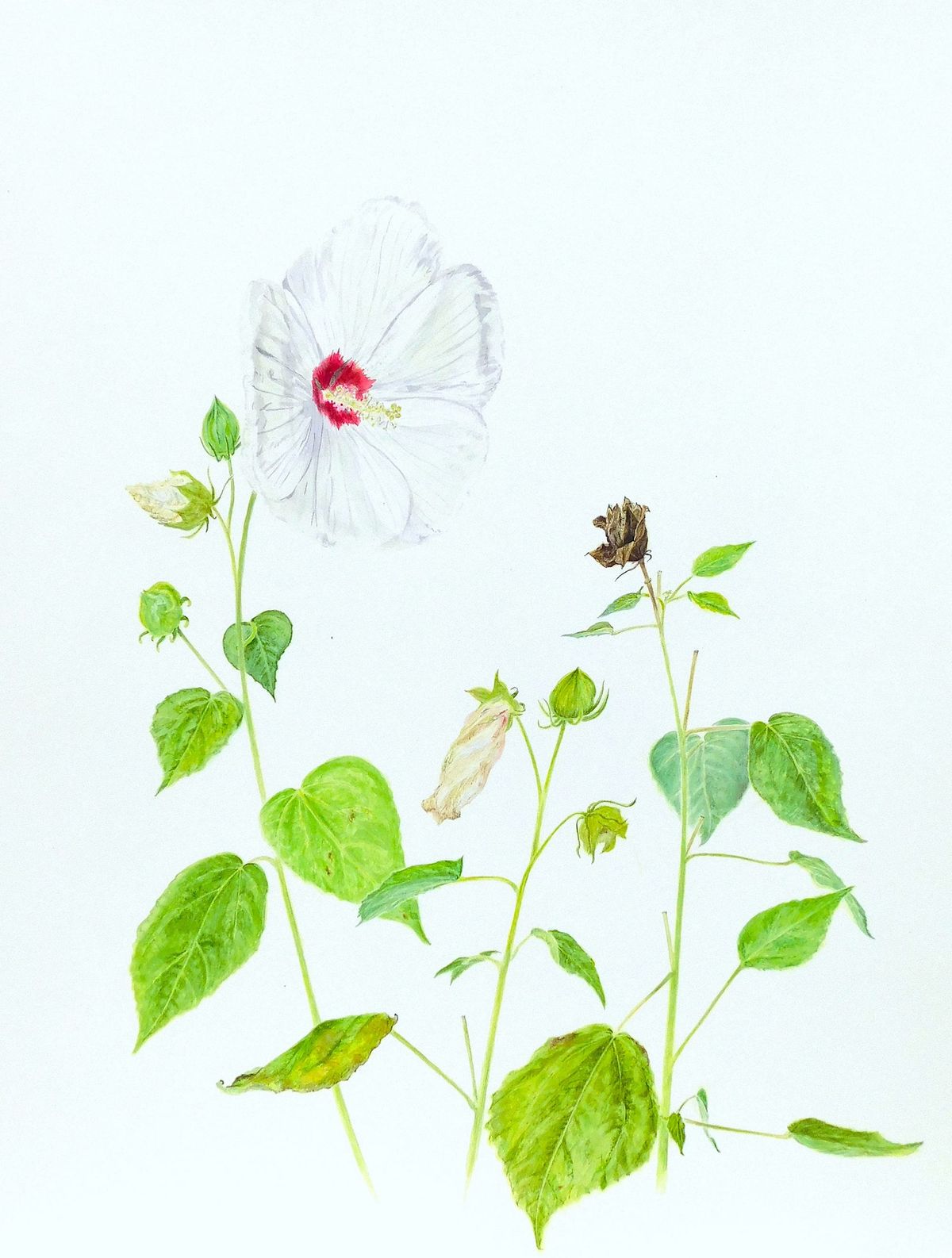 第二个星期五艺术步行预览