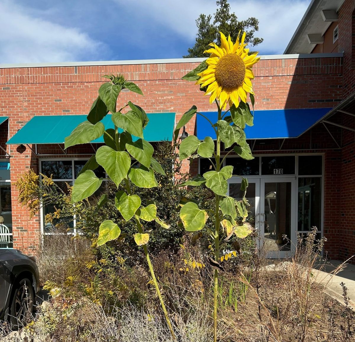 Navigating the holidays: Tips for conversations and well-being