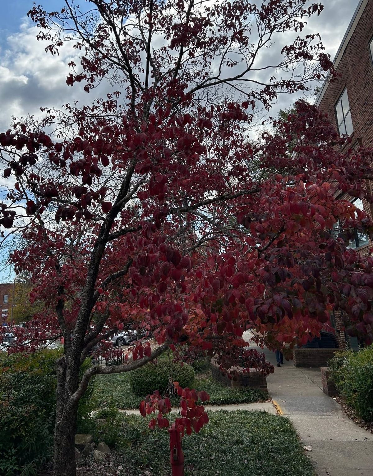 التحديث الأسبوعي، 7 نوفمبر