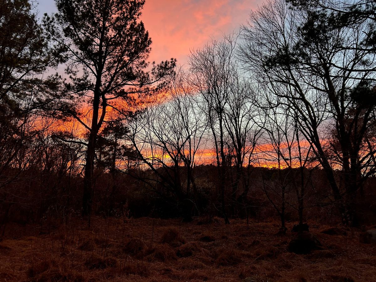 Did you make a resolution for the new year?