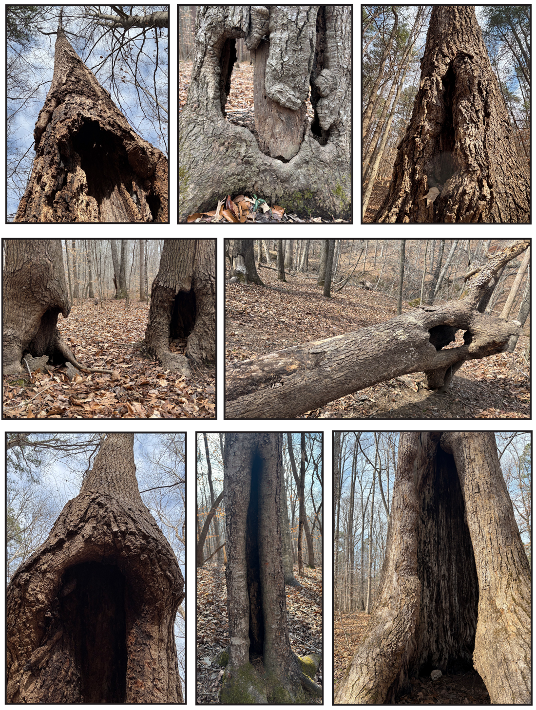 التحديث الأسبوعي، 13 مارس