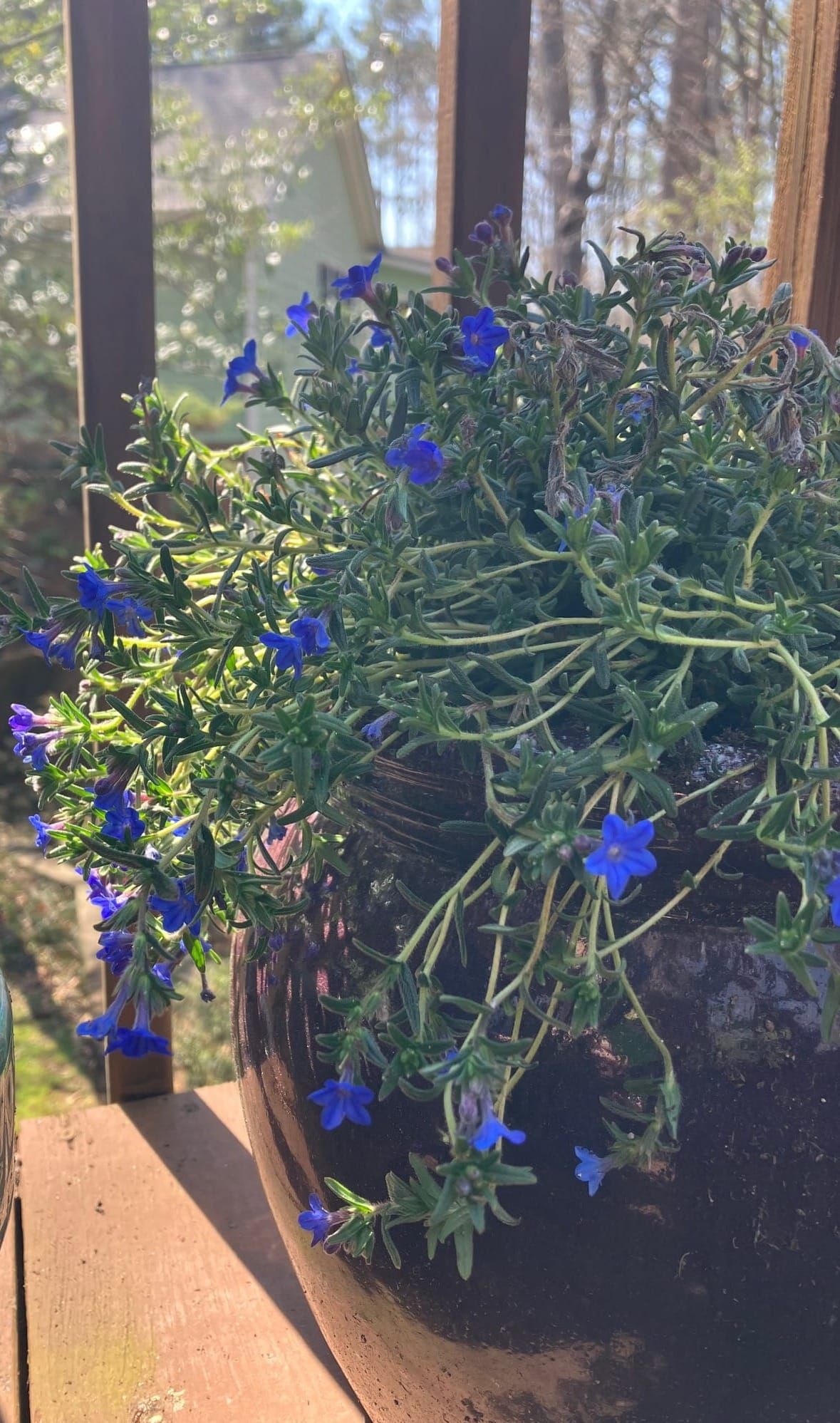 每周更新，3 月 27 日