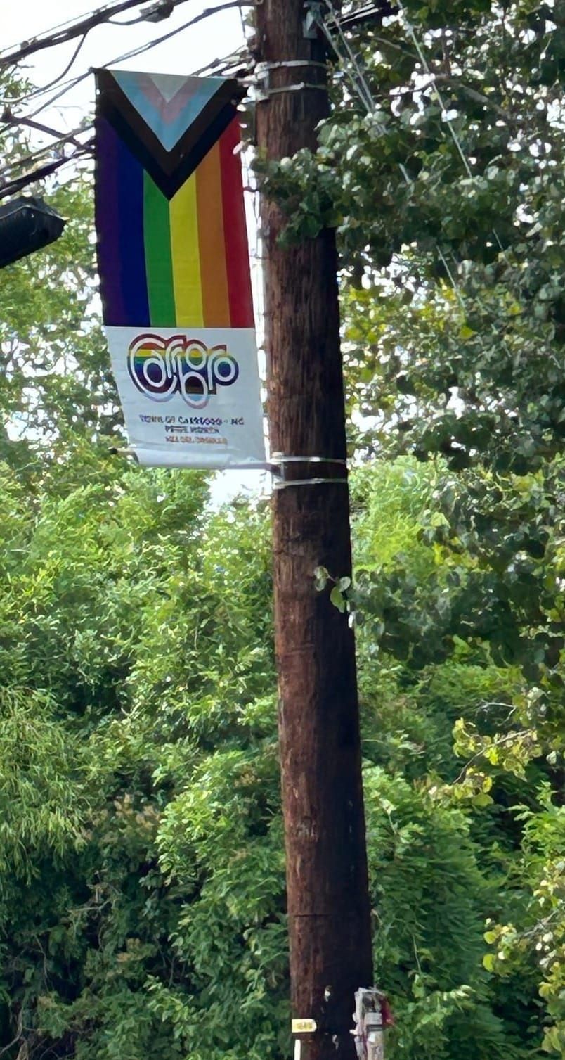 Carrboro Pride!