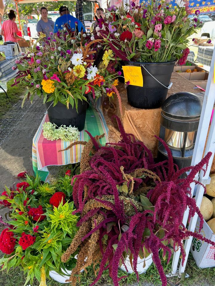 주간 업데이트, 8월 9일