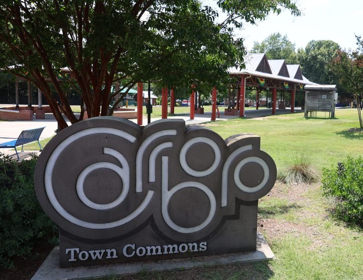 The Carrboro Music Festival