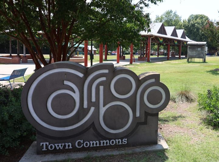 Carrboro Town Council Work Session (11/12) highlights